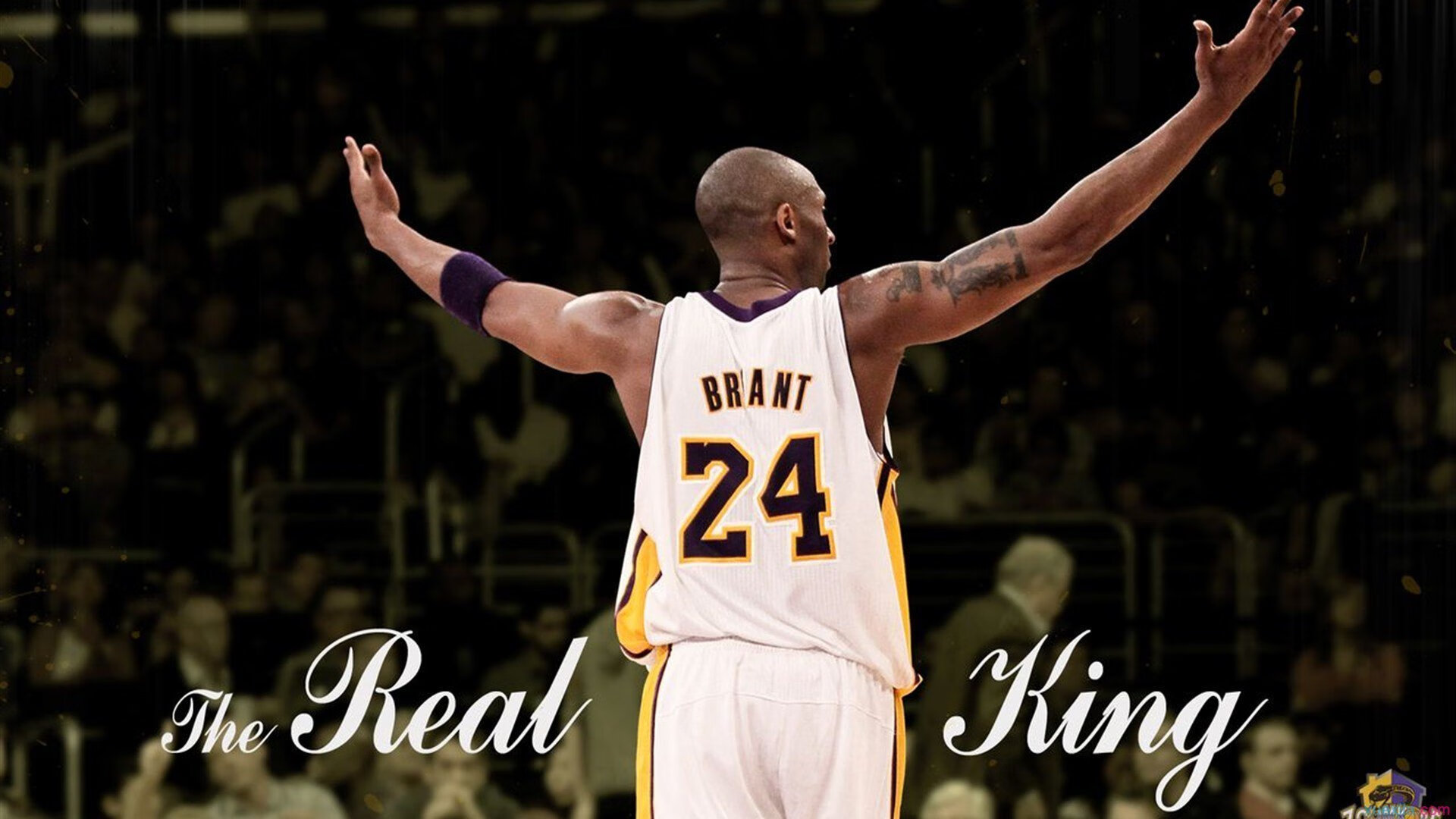 主办方公布下届赛事日程与场馆升级计划，赛事地点